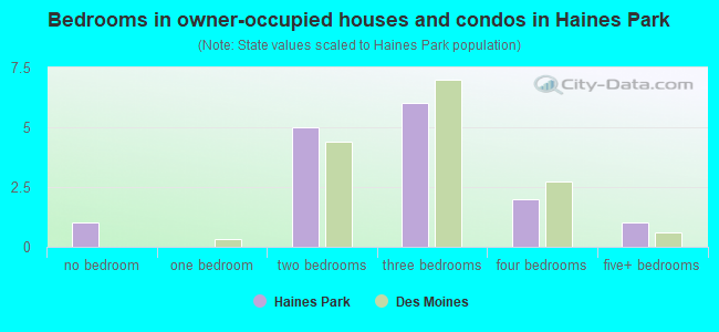Bedrooms in owner-occupied houses and condos in Haines Park