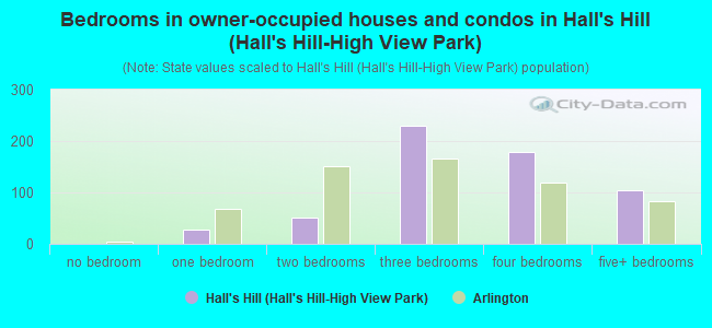 Bedrooms in owner-occupied houses and condos in Hall's Hill (Hall's Hill-High View Park)