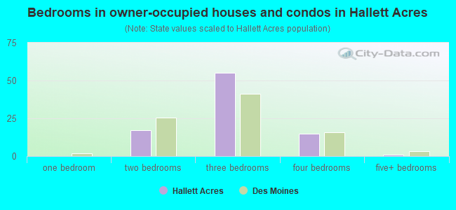 Bedrooms in owner-occupied houses and condos in Hallett Acres