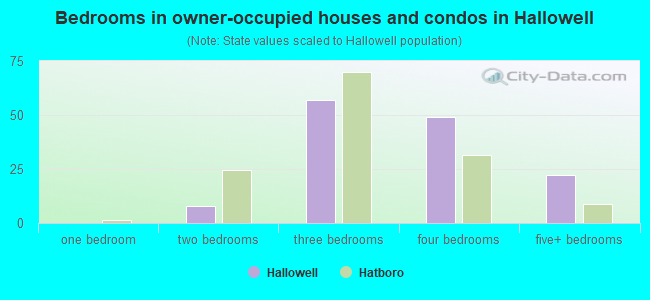 Bedrooms in owner-occupied houses and condos in Hallowell