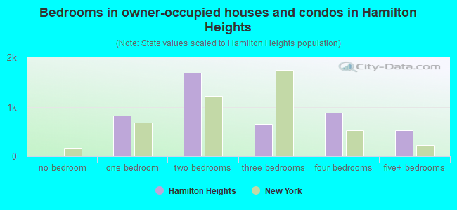 Bedrooms in owner-occupied houses and condos in Hamilton Heights