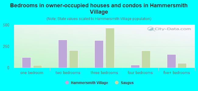 Bedrooms in owner-occupied houses and condos in Hammersmith Village