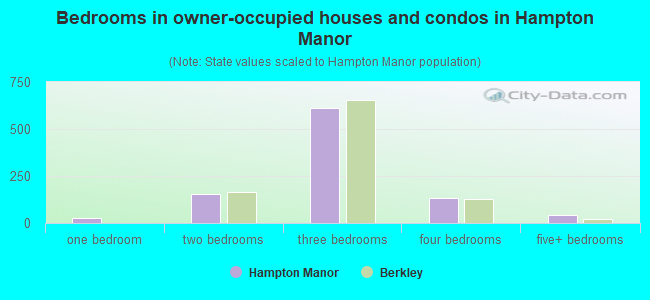 Bedrooms in owner-occupied houses and condos in Hampton Manor
