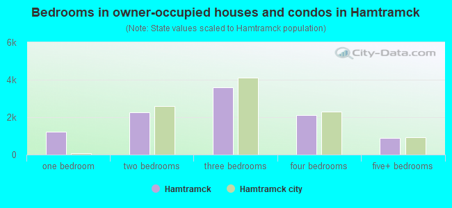 Bedrooms in owner-occupied houses and condos in Hamtramck