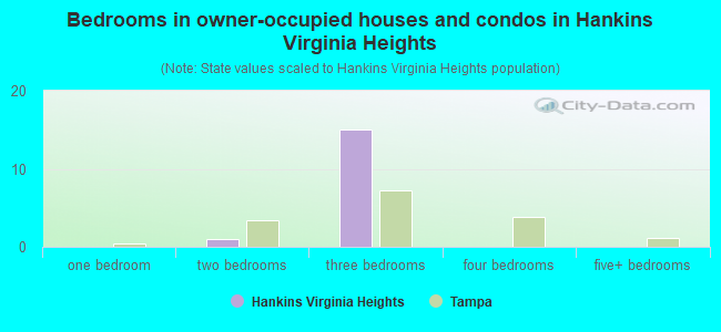 Bedrooms in owner-occupied houses and condos in Hankins Virginia Heights