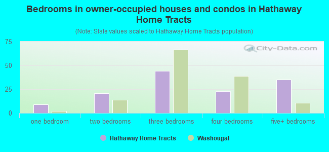 Bedrooms in owner-occupied houses and condos in Hathaway Home Tracts