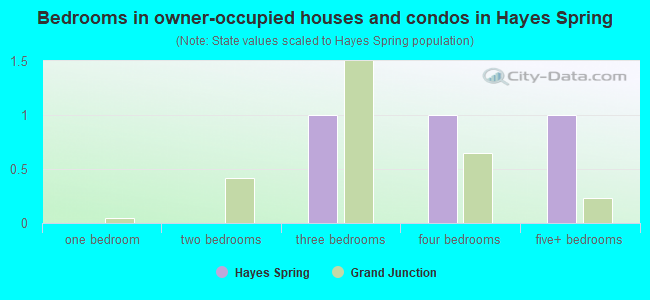 Bedrooms in owner-occupied houses and condos in Hayes Spring