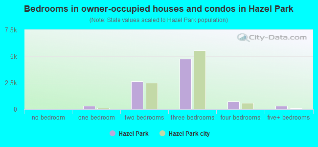 Bedrooms in owner-occupied houses and condos in Hazel Park