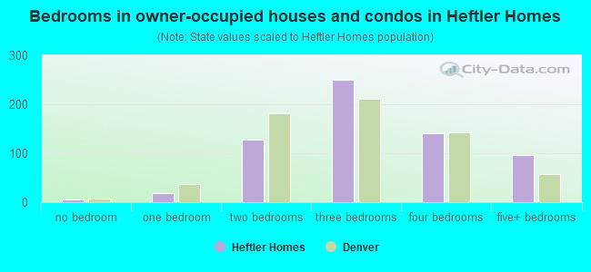 Bedrooms in owner-occupied houses and condos in Heftler Homes