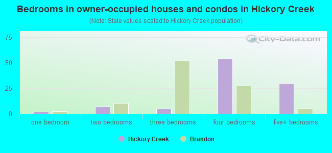 Bedrooms in owner-occupied houses and condos in Hickory Creek
