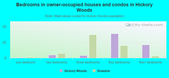 Bedrooms in owner-occupied houses and condos in Hickory Woods