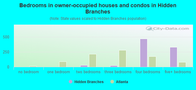 Bedrooms in owner-occupied houses and condos in Hidden Branches