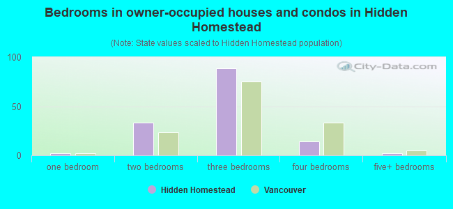 Bedrooms in owner-occupied houses and condos in Hidden Homestead