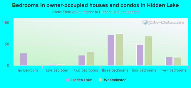 Bedrooms in owner-occupied houses and condos in Hidden Lake