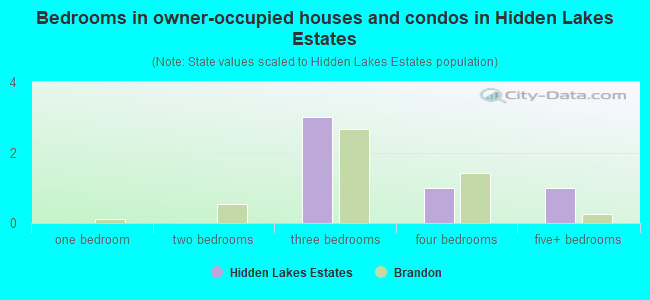 Bedrooms in owner-occupied houses and condos in Hidden Lakes Estates