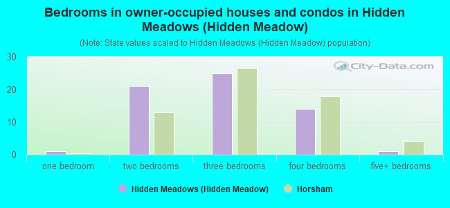 Bedrooms in owner-occupied houses and condos in Hidden Meadows (Hidden Meadow)