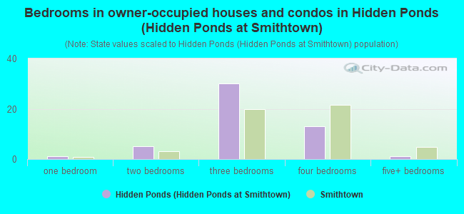 Bedrooms in owner-occupied houses and condos in Hidden Ponds (Hidden Ponds at Smithtown)