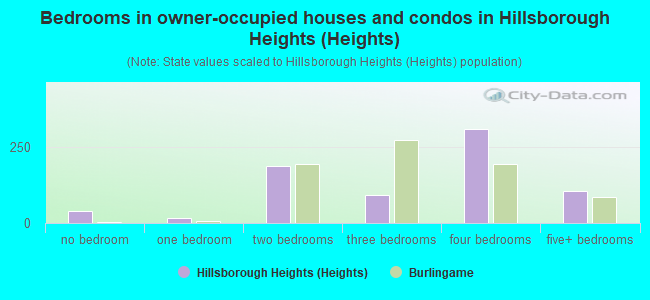 Bedrooms in owner-occupied houses and condos in Hillsborough Heights (Heights)