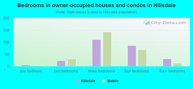 Bedrooms in owner-occupied houses and condos in Hillsdale