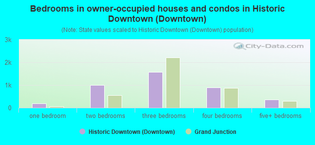 Bedrooms in owner-occupied houses and condos in Historic Downtown (Downtown)