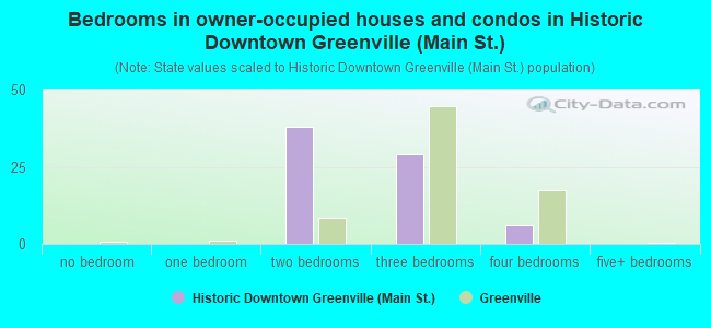 Bedrooms in owner-occupied houses and condos in Historic Downtown Greenville (Main St.)