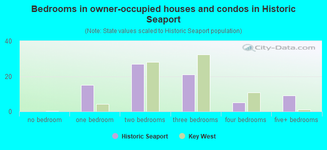 Bedrooms in owner-occupied houses and condos in Historic Seaport