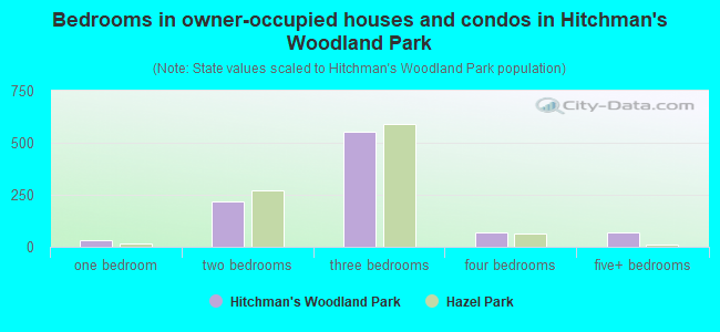 Bedrooms in owner-occupied houses and condos in Hitchman's Woodland Park
