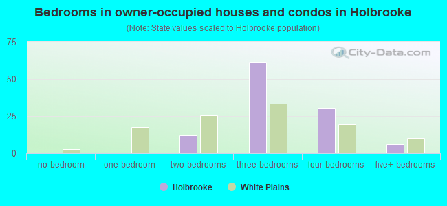 Bedrooms in owner-occupied houses and condos in Holbrooke