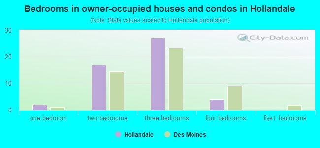 Bedrooms in owner-occupied houses and condos in Hollandale