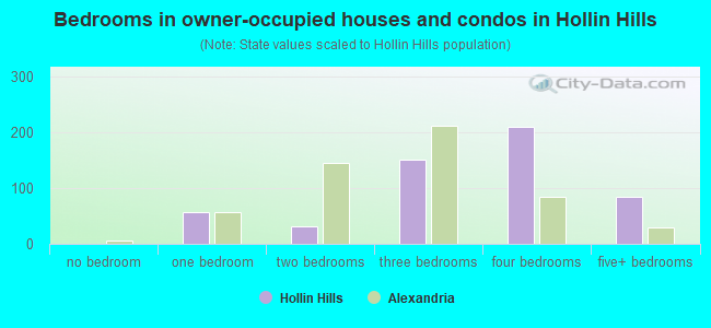 Bedrooms in owner-occupied houses and condos in Hollin Hills