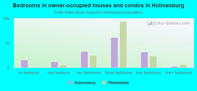 Bedrooms in owner-occupied houses and condos in Holmesburg