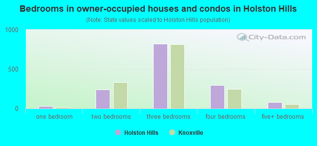 Bedrooms in owner-occupied houses and condos in Holston Hills