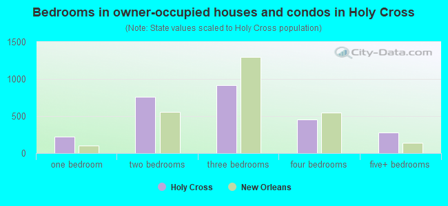 Bedrooms in owner-occupied houses and condos in Holy Cross