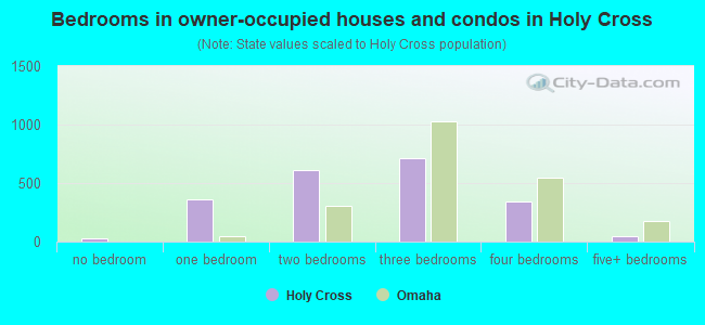 Bedrooms in owner-occupied houses and condos in Holy Cross