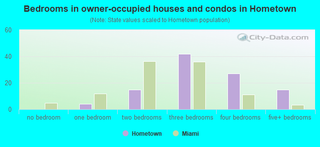 Bedrooms in owner-occupied houses and condos in Hometown