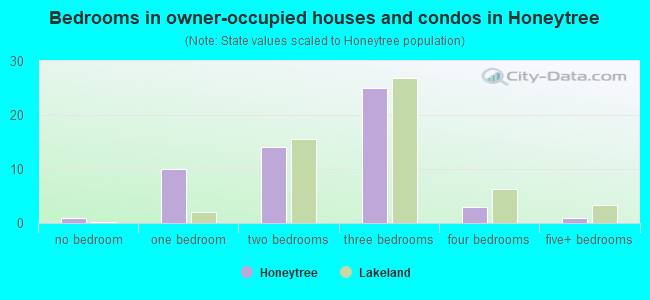 Bedrooms in owner-occupied houses and condos in Honeytree