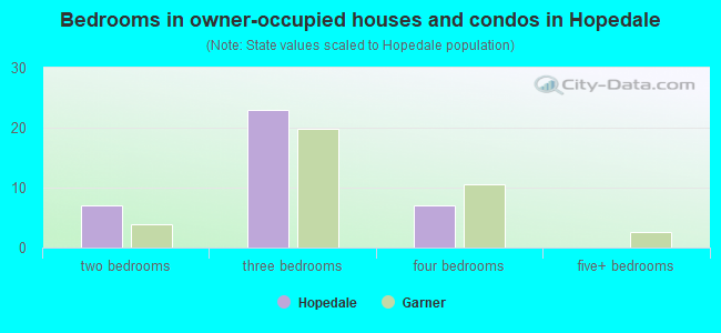 Bedrooms in owner-occupied houses and condos in Hopedale