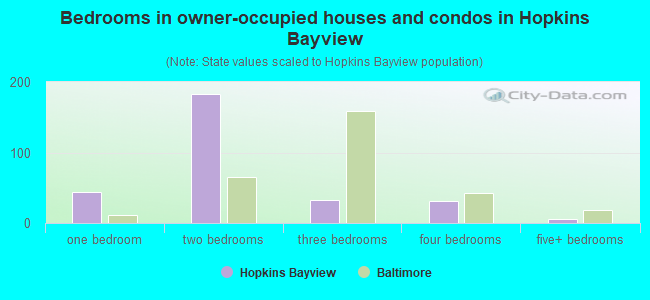 Bedrooms in owner-occupied houses and condos in Hopkins Bayview
