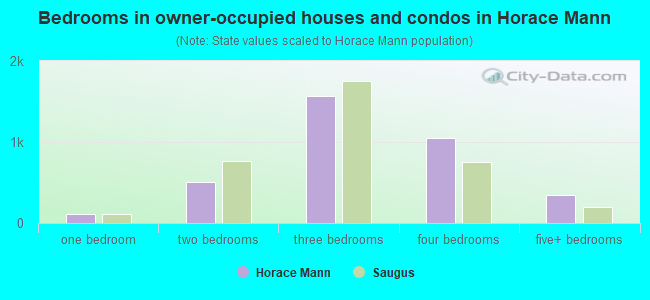 Bedrooms in owner-occupied houses and condos in Horace Mann