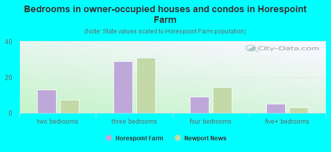 Bedrooms in owner-occupied houses and condos in Horespoint Farm