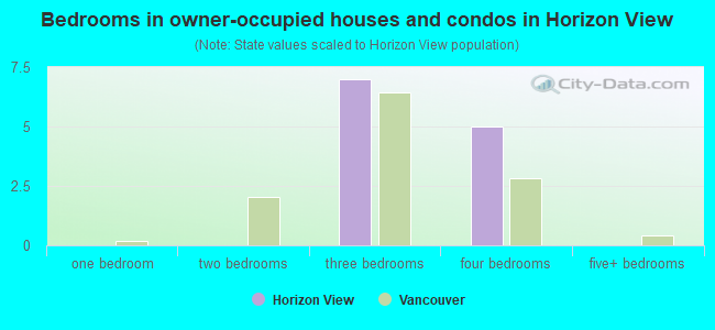 Bedrooms in owner-occupied houses and condos in Horizon View