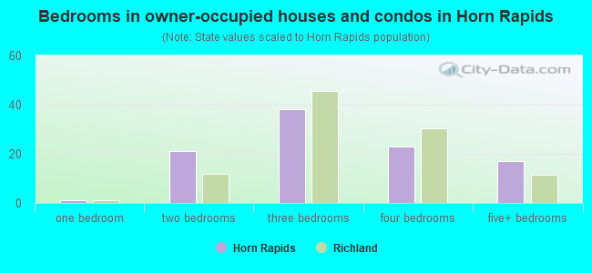 Bedrooms in owner-occupied houses and condos in Horn Rapids