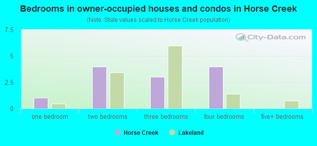 Bedrooms in owner-occupied houses and condos in Horse Creek