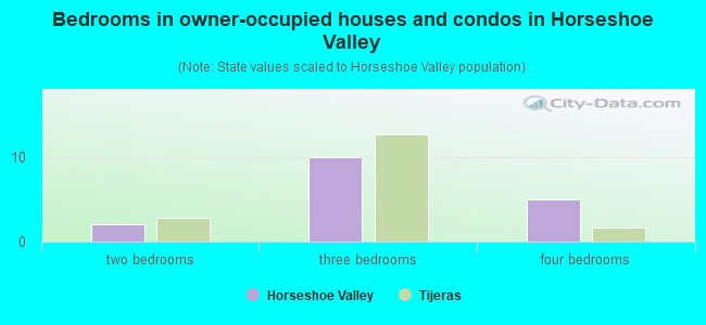 Bedrooms in owner-occupied houses and condos in Horseshoe Valley