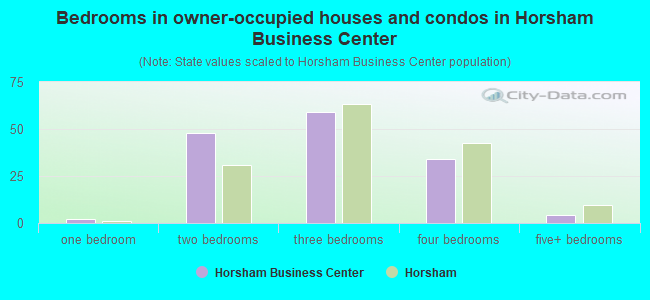 Bedrooms in owner-occupied houses and condos in Horsham Business Center