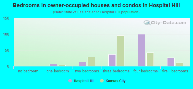 Bedrooms in owner-occupied houses and condos in Hospital Hill