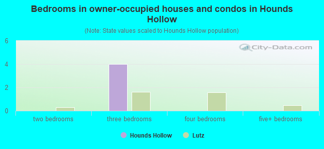 Bedrooms in owner-occupied houses and condos in Hounds Hollow