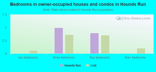 Bedrooms in owner-occupied houses and condos in Hounds Run