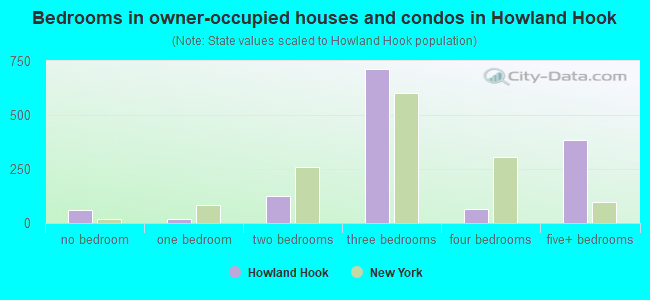 Bedrooms in owner-occupied houses and condos in Howland Hook