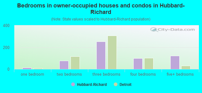 Bedrooms in owner-occupied houses and condos in Hubbard-Richard